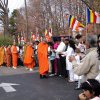 DSC04894